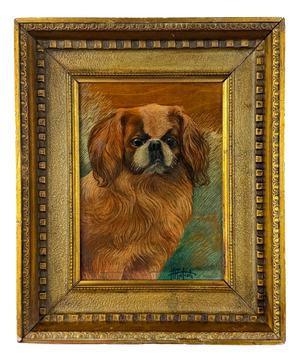 Pekingese Dog Portrait, Oil on Panel, 20th Century, Framed