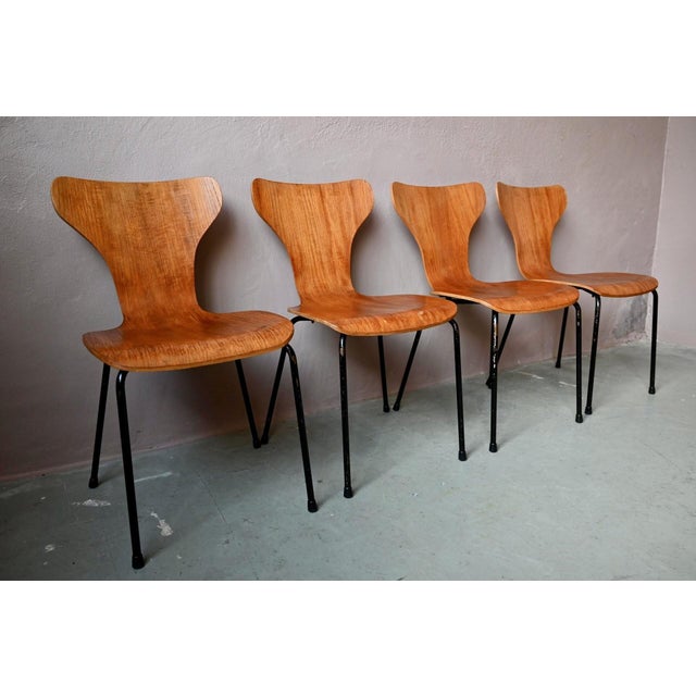 1950s Mid-Century Scandinavian Tubular Plywood Stackable Chairs, 1950s, Set of 4 For Sale - Image 5 of 18