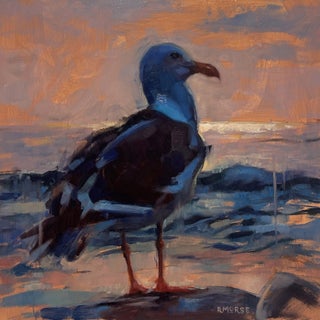 Sea Gull by Ryan Morse | Oil on Panel Painting of a sea gull by the ocean at sunset For Sale