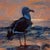 Sea Gull by Ryan Morse | Oil on Panel Painting of a sea gull by the ocean at sunset For Sale
