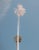 "Rising Together" Los Angeles Palm Trees - Minimalist Contemporary Photograph For Sale