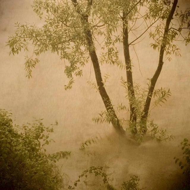 Please be aware that the us recently imposed an import duty on photographs printed in the last 20 years which may apply if...