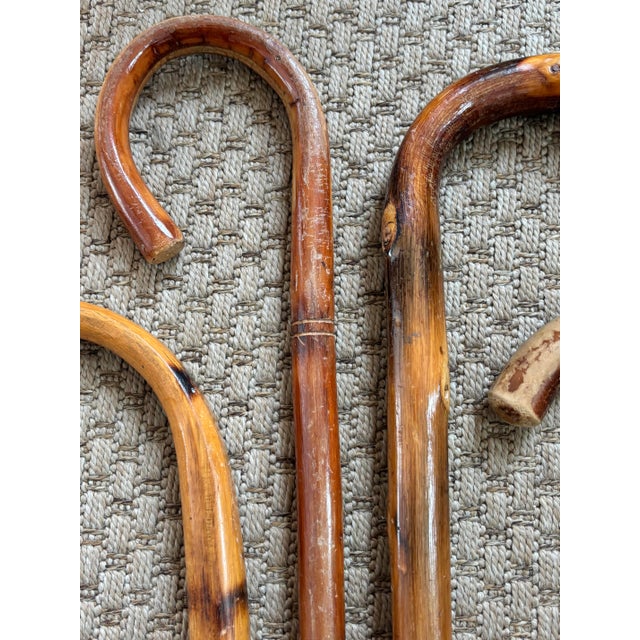 Mid 20th Century Rustic Estate Wood Bamboo Walking Canes - Set of 5 For Sale - Image 4 of 17