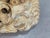 Fountain Head of Neptune and Dragons For Sale - Image 9 of 10