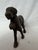 Heavy, Lovely Patina Saint Bernard one sided Door Stop, ready to rescue you. Beautiful condition, rod iron, looks young...