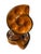 Vintage Honey Amber Majolica Escargot Plates / Dishes – Set of 6 For Sale - Image 9 of 9