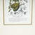 Vintage Botanical Print in Elegant Frame by Fevillea