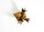 Gold Small Ceiling Lamp by Banci Firenze, Italy, 1960s For Sale - Image 8 of 18