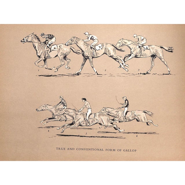 "The Horse in Action" 1954 Wynmalen, Henry For Sale - Image 4 of 9