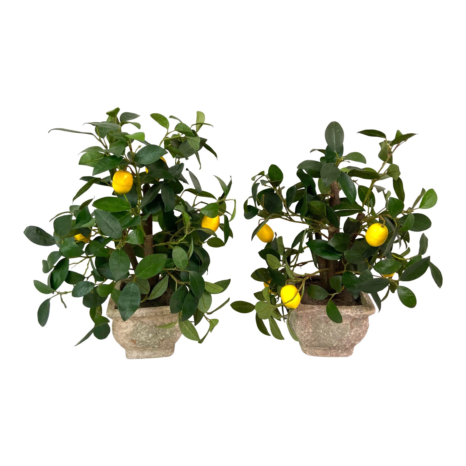 Faux Lemon Trees Ceramic Planters Pair of 2 Chairish