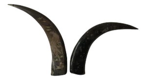 1940s Cabin Decorative Etched Horns on Stand - a Pair
