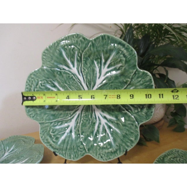 Mid-Century Modern Vintage Bordallo Pinheiro Green Cabbage Majolica Leaf Dinner Plates- Set of 4 For Sale - Image 3 of 4