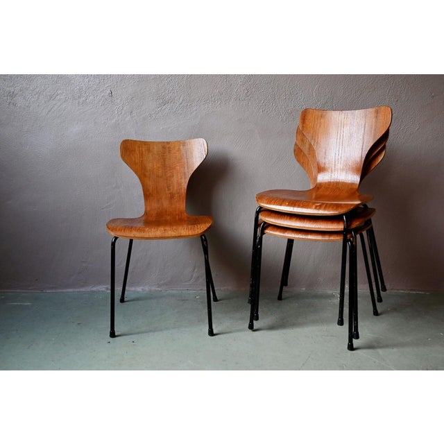 Mid-Century Scandinavian Tubular Plywood Stackable Chairs, 1950s, Set of 4 For Sale - Image 3 of 18