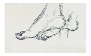 Mid 20th Century Pen & Ink Foot Study Drawing