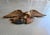 1950s Folk Art Mid-Century Artistic Carving Co. Louisburg Wood Eagle Plaque Bellamy Style Americana Wall Sculpture For Sale - Image 4 of 16