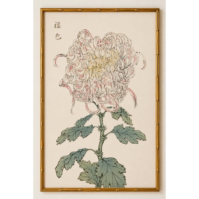 Blush Mum by Hasegawa, Vintage Japanese Botanical Art Print, 40" X 60" For Sale In Buffalo - Image 6 of 11