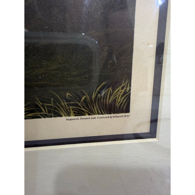 Art Deco Late 19th Century John James Audubon Robert Havell Iceland or Ier Falcon 1836 Framed Print Reproduction For Sale - Image 3 of 6