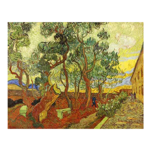 Van Gogh the Garden of the Asylum in Saint Remy LTD Edition Giclee