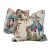 Brunschwig & Fils Luang Print Pillows in Meadow With Green Cord- Double Sided For Sale
