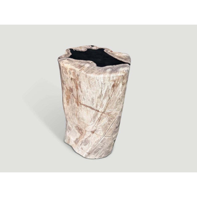 2010s Andrianna Shamaris Abstract High Quality Petrified Wood Side Table For Sale - Image 5 of 5