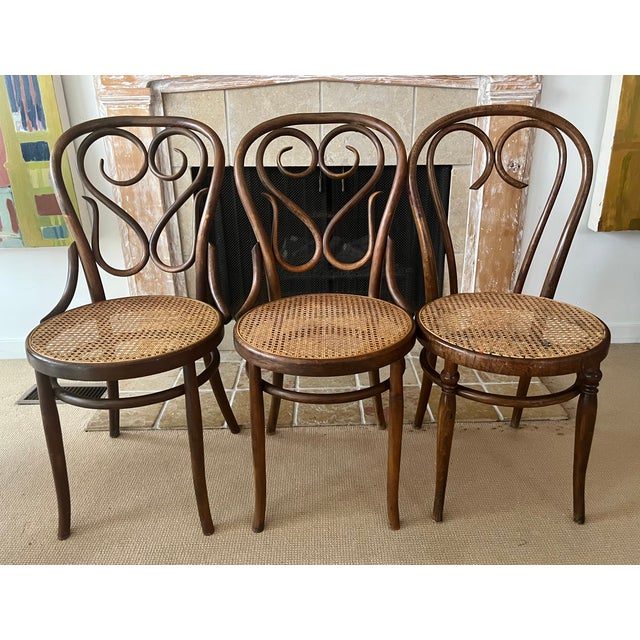 Josef Hoffmann Antique Bentwood Dining Chairs, Set/3 For Sale - Image 4 of 14