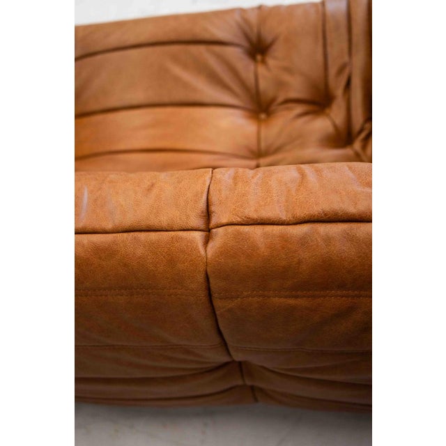 Vintage Two-Seater Togo Sofa with Arms in Brown Pine Leather by Michel Ducaroy for Ligne Roset, 1970s For Sale - Image 10 of 18