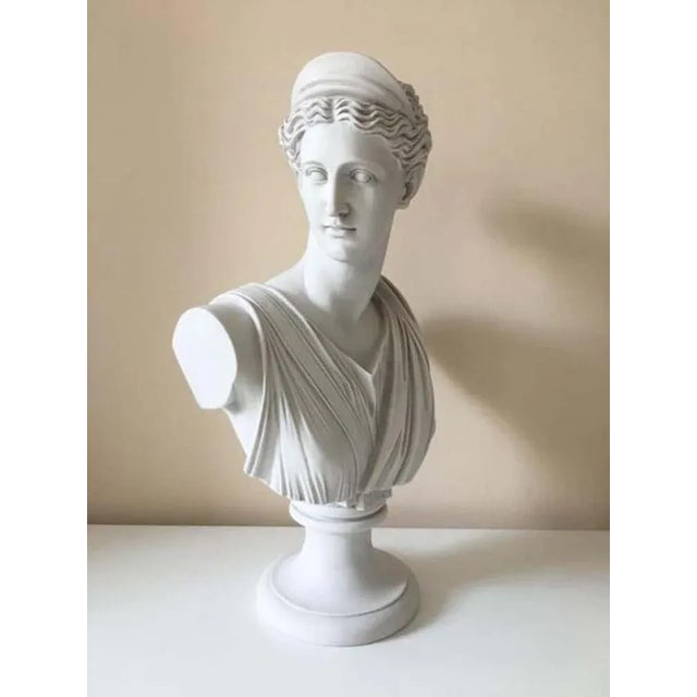 Diana Chasseresse Bust, 20th Century For Sale - Image 4 of 7