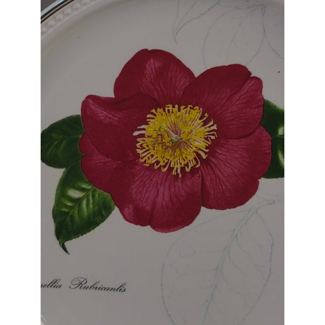 Mid-Century Modern Collectable Villeroy & Boch Magenta Pink Camelia Wall Plate 1996 For Sale - Image 3 of 7