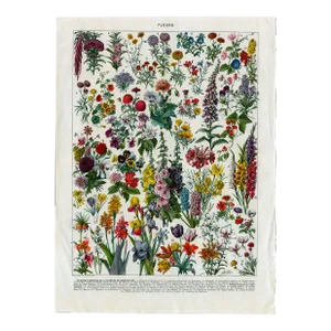 “Fleurs - Planets Annuelles Et Plantes Bisannuelles” - Giclee Print of an Antique Floral Encyclopedia Page Illustrated by Millot