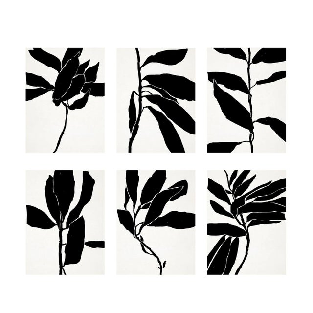 Set of 6 framed botanical illustration 11"x14" size. Open edition giclee prints. High quality natural color wooden frame...