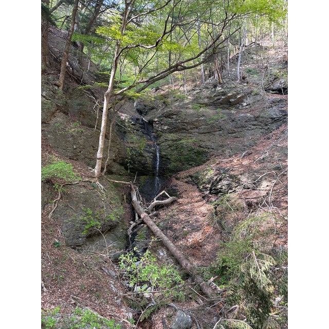 Mid-Century Japanese Zelkova (Keyaki)＆Paulownia Bar Cart / Tea Wagon For Sale - Image 14 of 14