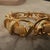 21st Century High Quality Costume Jewelry Italian Snake Bangle Bracelet For Sale - Image 6 of 14