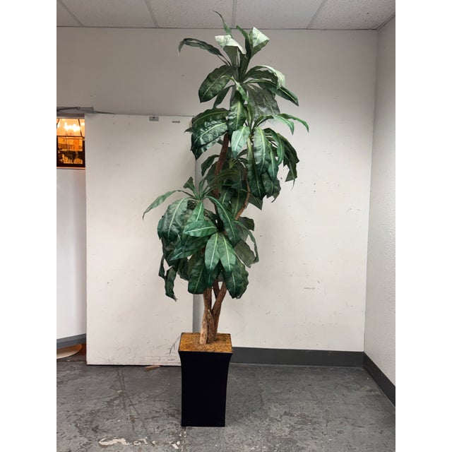 Faux Bird Nest Palm + Black Tapered Planter For Sale - Image 4 of 12