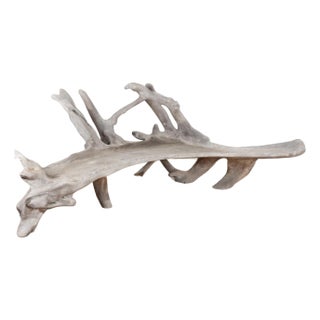 Mid Century Organic Teak Root Large Bench For Sale