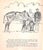 Original 1944 Pencil Drawing From Hi, Guy! The Cinderella Horse by Paul Brown 32 For Sale In New York - Image 6 of 6