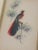 Late 20th Century Framed Chinoiserie Style Bird Painting- A Pair For Sale - Image 10 of 11