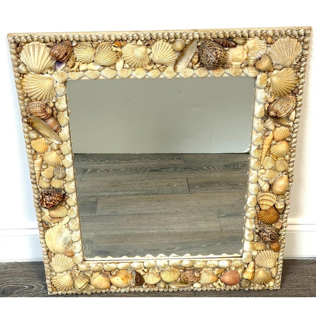 1960s Coastal Bohemian Specimen Shell Encrusted Mirror with Tiger Cowries For Sale - Image 12 of 14
