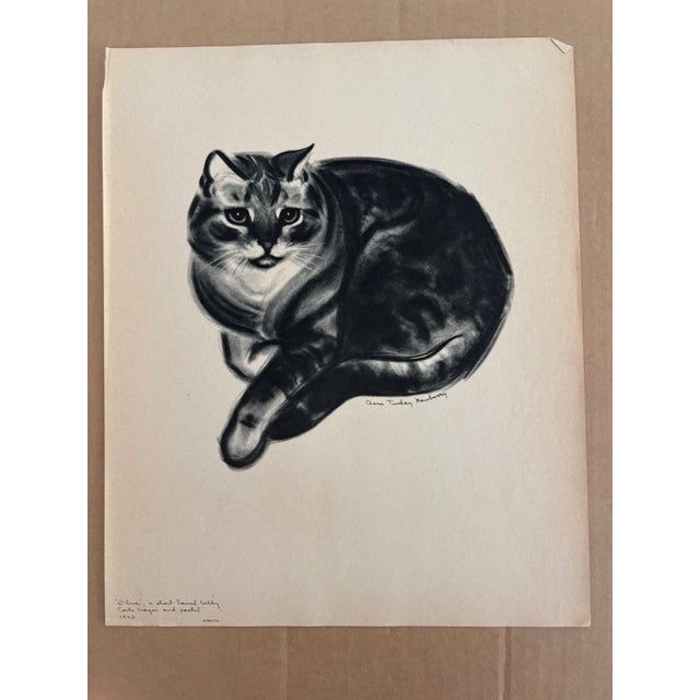 Up for sale is this vintage print, "Oliver, a Short-Haired Tabby", from a 1943 collection by acclaimed illustrator Clare...