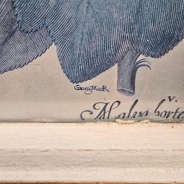 Botanical Prints in Antique Window Frame For Sale - Image 14 of 18