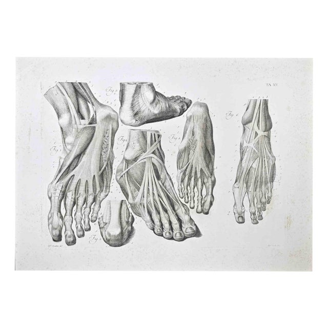 Pietro Bartoli, Anatomy of Foot, 1810, Etching For Sale
