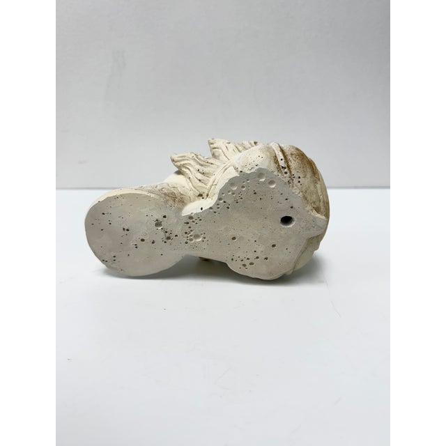Vintage Plaster Reproductions of 4 Heads From the Wawel Collection, Poland - Set of 4 For Sale In Raleigh - Image 6 of 17
