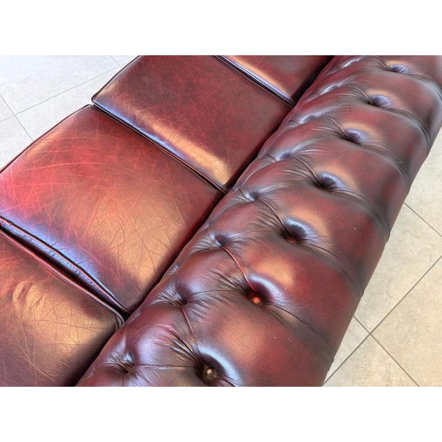 Chesterfield Four Seater Club Sofa in Oxblood For Sale - Image 13 of 18