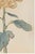 Not Yet Made - Made To Order Chrysanthemum by Keika Hasegawa, Vintage Japanese Botanical Art Print, 12" X 18" For Sale - Image 5 of 8