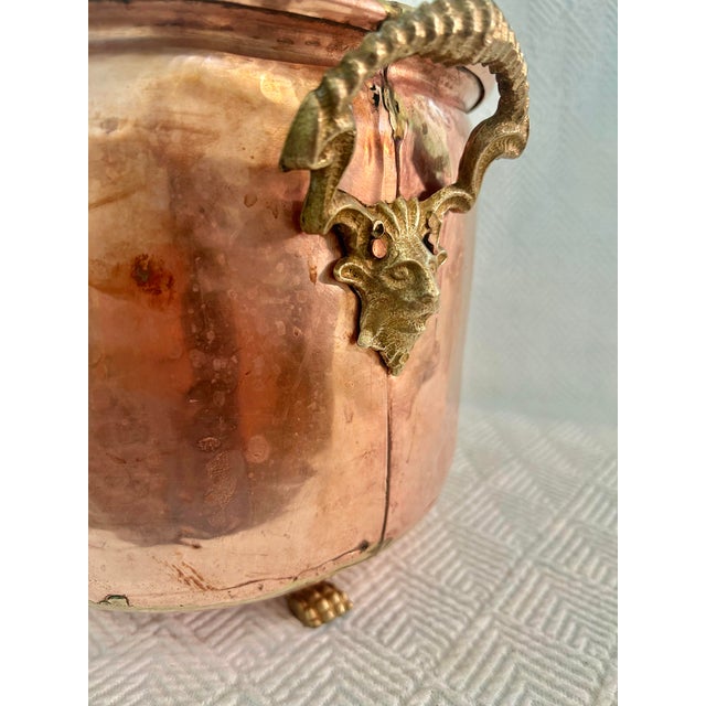 Early 20th Century Hammered Copper Jardinere With Brass Rams Head Handles and Lion Paw Feet For Sale In New Orleans - Image 6 of 10
