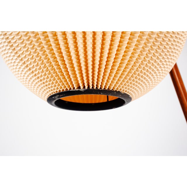 Vintage French Floor Lamp by Rispal, 1950s For Sale - Image 15 of 18