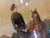 Paint Watercolors of a Rider With Her Horse and Dogs, a 19th Century Pair For Sale - Image 7 of 12
