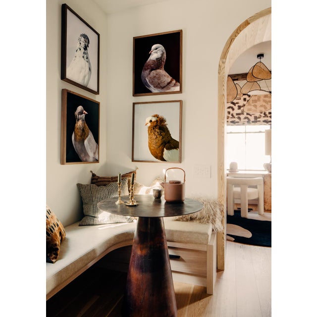 Signed, limited Edition print of Yellow Komorner Tumbler Pigeon by Brendan Burden. The Komorner Tumbler is a small...