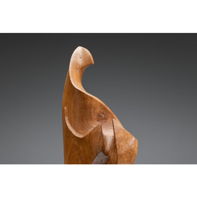 Sculptural Form in Elm, 1985 For Sale - Image 13 of 18