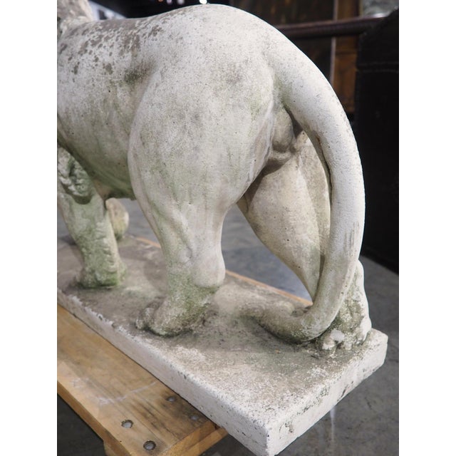 Mid 20th Century A French Medici Style Lion in Reconstituted Stone, 20th C For Sale - Image 5 of 18