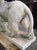 Mid 20th Century A French Medici Style Lion in Reconstituted Stone, 20th C For Sale - Image 5 of 18